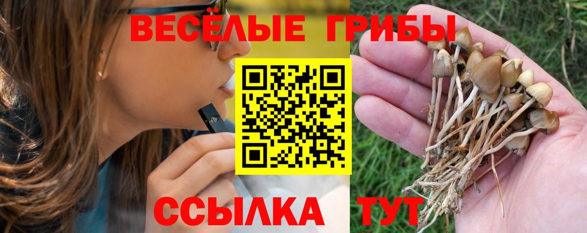 Галлюциногенные грибы мухоморы  Вход с VPN  Черкесск 
